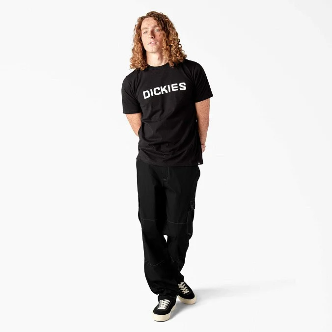 Брюки Dickies Skateboarding Loose Fit Cargo Pants Black